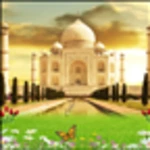 Logo of TAJMAHAL BIRDS Live Wallpaper android Application 