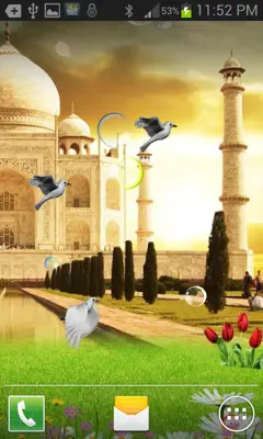 TAJMAHAL BIRDS Live Wallpaper android App screenshot 1