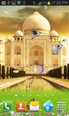 TAJMAHAL BIRDS Live Wallpaper android App screenshot 2