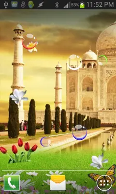 TAJMAHAL BIRDS Live Wallpaper android App screenshot 3